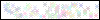Auth Image
